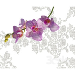 Wall covering - Wallpapers Wall _ Deco collection Gio Pagani 