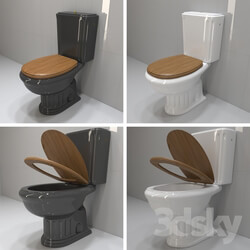 Toilet and Bidet - The royal black or white toilet 