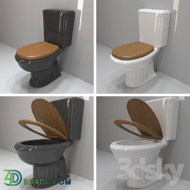 Toilet and Bidet - The royal black or white toilet