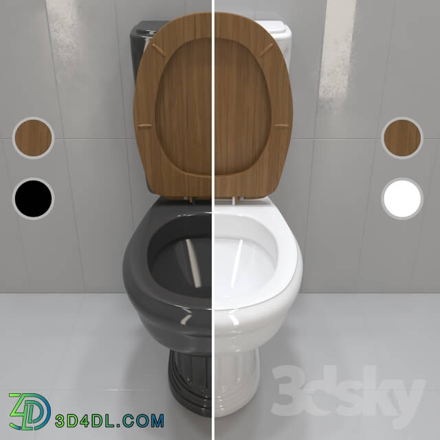 Toilet and Bidet - The royal black or white toilet