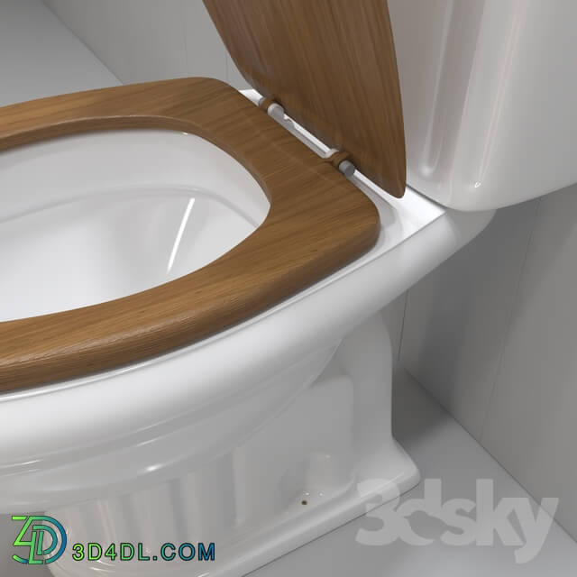 Toilet and Bidet - The royal black or white toilet