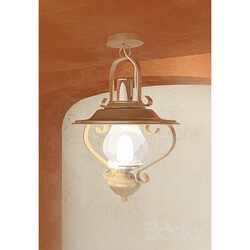 Ceiling light - hanging lamp 