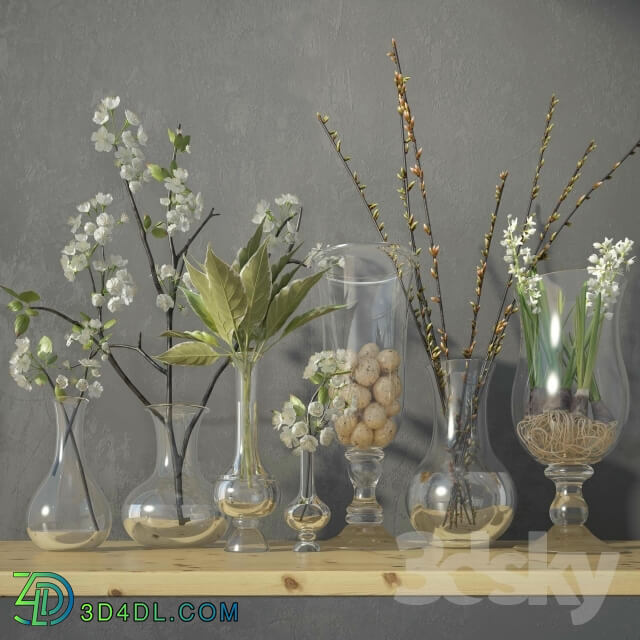 Plant - decorative set