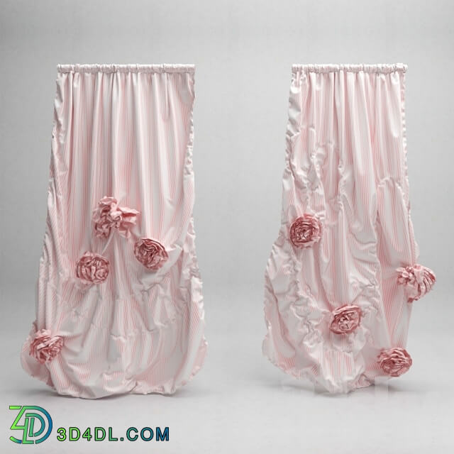 Curtain - Curtain Rose