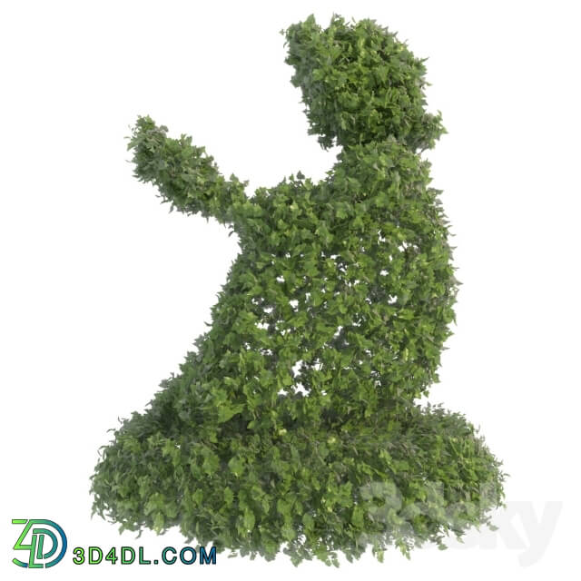 Plant - Girl reading a book - Topiary