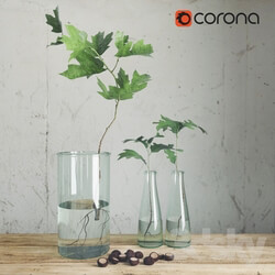 Plant - Vase with branches 