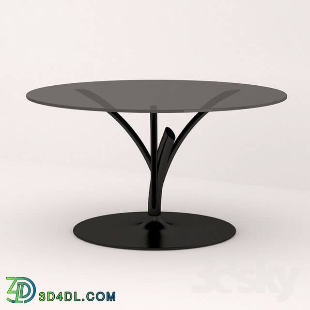 Table - Table Calligaris Acacia