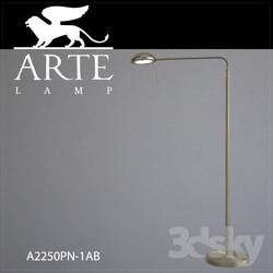 Floor lamp - Lamp Arte Lamp A2250PN-1AB 