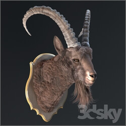 Other decorative objects - Siberian ibex 