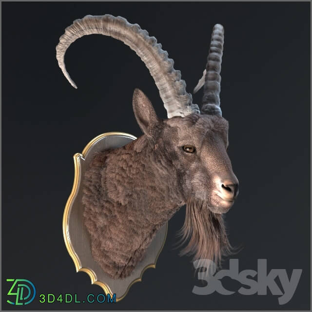 Other decorative objects - Siberian ibex