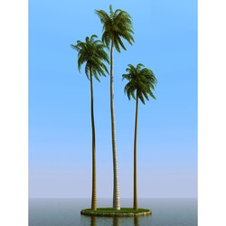 3dMentor HQPalms-03 (37) coconut palm wind 