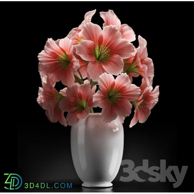 Plant - PINK AMARYLLIS