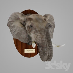 Other decorative objects - African Elephant 
