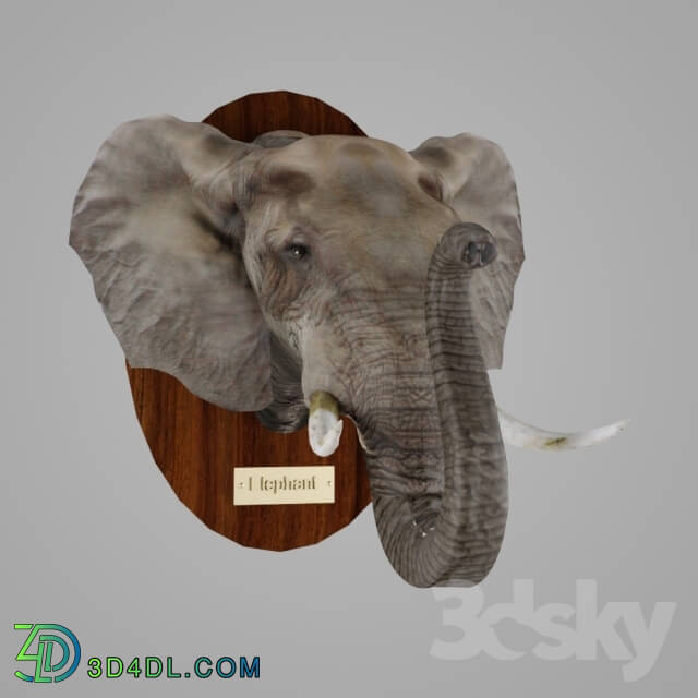 Other decorative objects - African Elephant