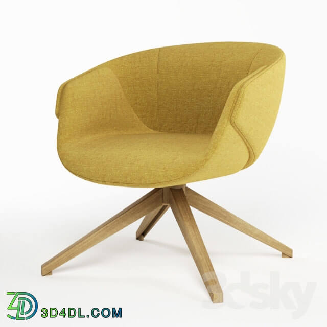 Arm chair - Armchair SP01 ANITA