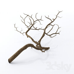 Other decorative objects - Snag 