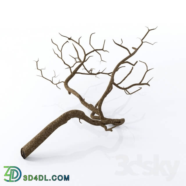 Other decorative objects - Snag