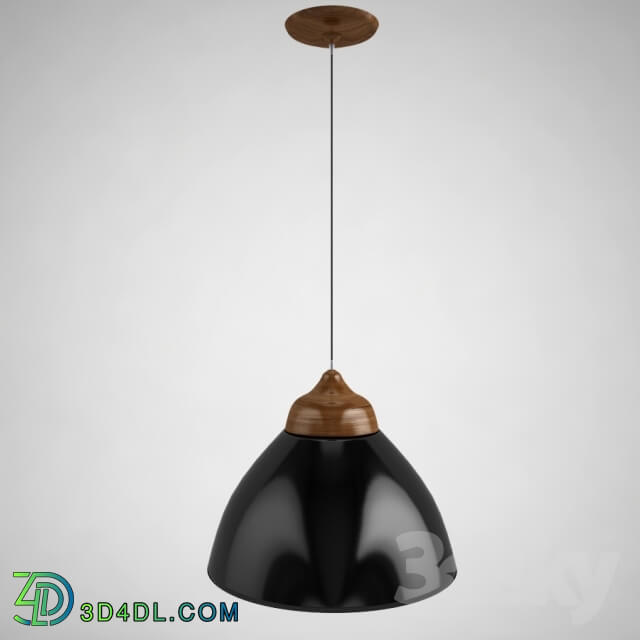 Ceiling light - Pendant Lamp