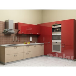 Kitchen - the Red kitchen 