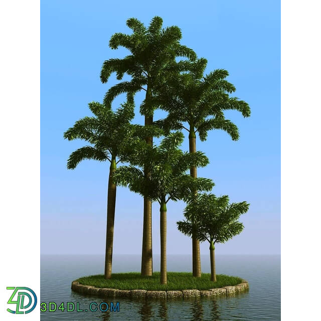 3dMentor HQPalms-03 (38) foxtail palm