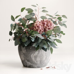 Plant - Bouquet of Eucalyptus with Hydrangea 