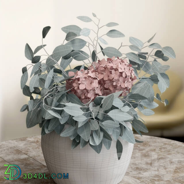 Plant - Bouquet of Eucalyptus with Hydrangea