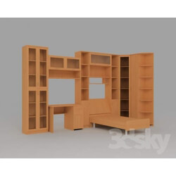 Wardrobe _ Display cabinets - Living room book 