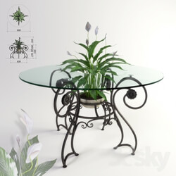 Table - Forged table and plant _quot_Spathiphyllum_quot_ 