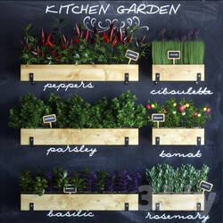 Other kitchen accessories - Kitchen garden 