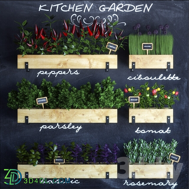 Other kitchen accessories - Kitchen garden