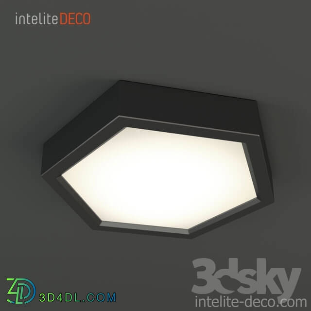 Ceiling light - Blan Intelite Deco