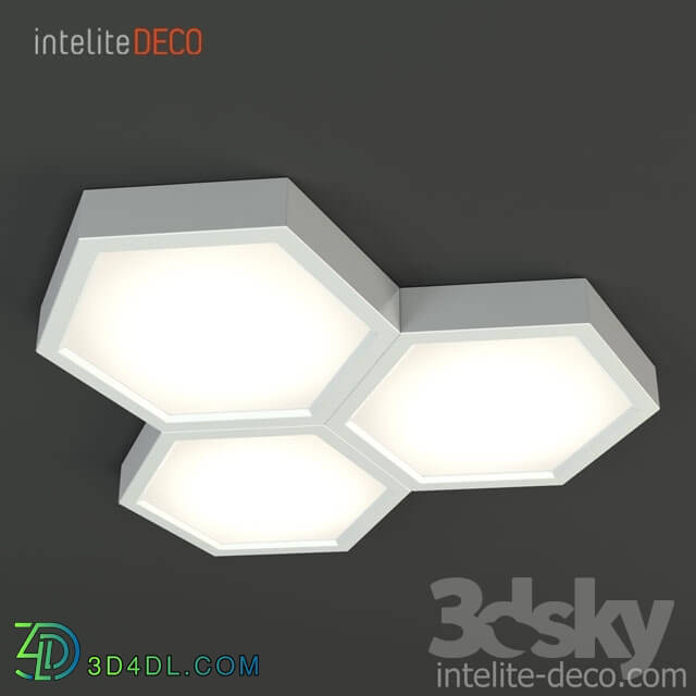 Ceiling light - Blan Intelite Deco