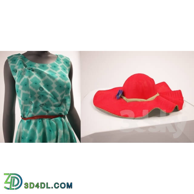 Clothes and shoes - Dress with a hat