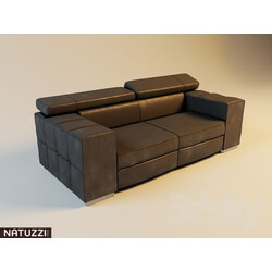 Sofa - Natuzzi _ NICOLAUS 