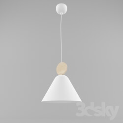 Ceiling light - hanging lamp 
