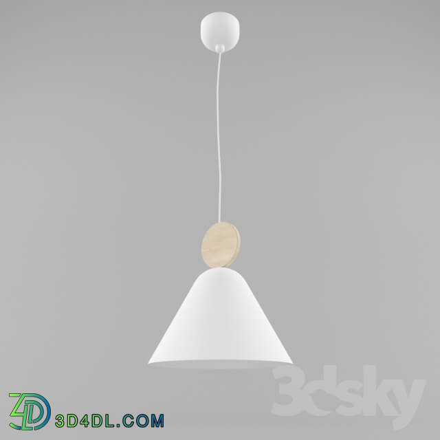 Ceiling light - hanging lamp