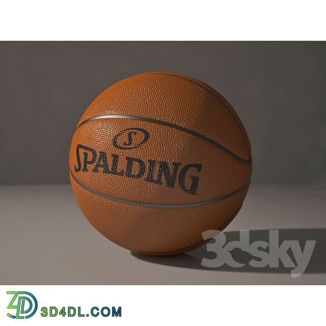 Sports - Basketball