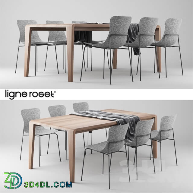 Table _ Chair - Ligne Roset SpiritOfForest Table and Ettoriano Chair