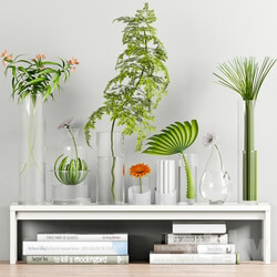 Plant - Decorative Set - 18 