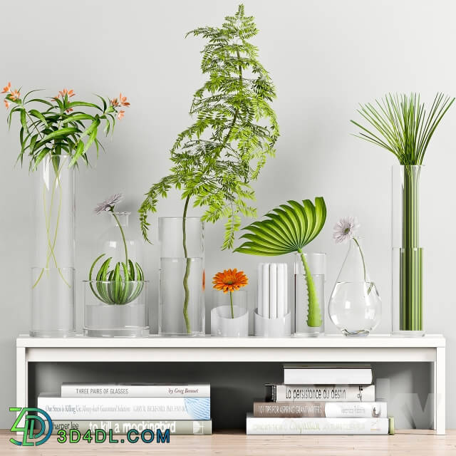 Plant - Decorative Set - 18