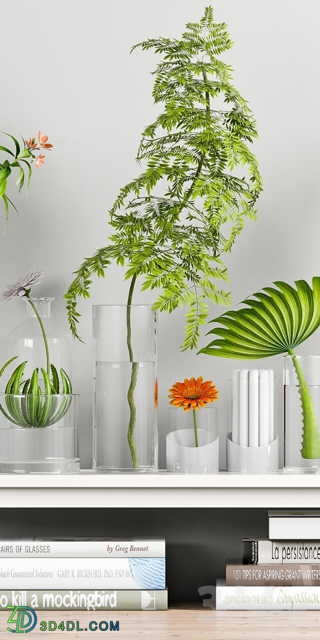 Plant - Decorative Set - 18