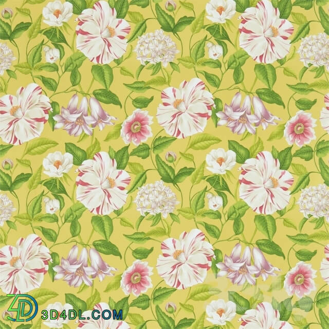 Wall covering - Sanderson Wallpaper