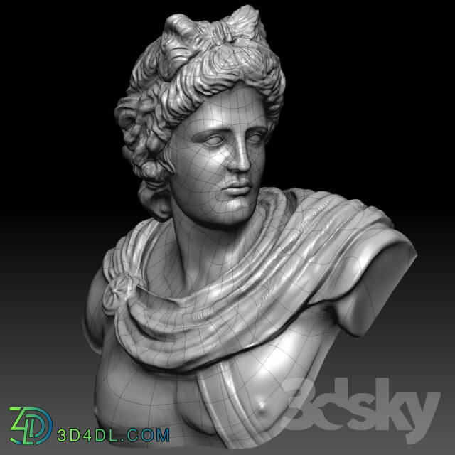 Sculpture - Bust of Apollo