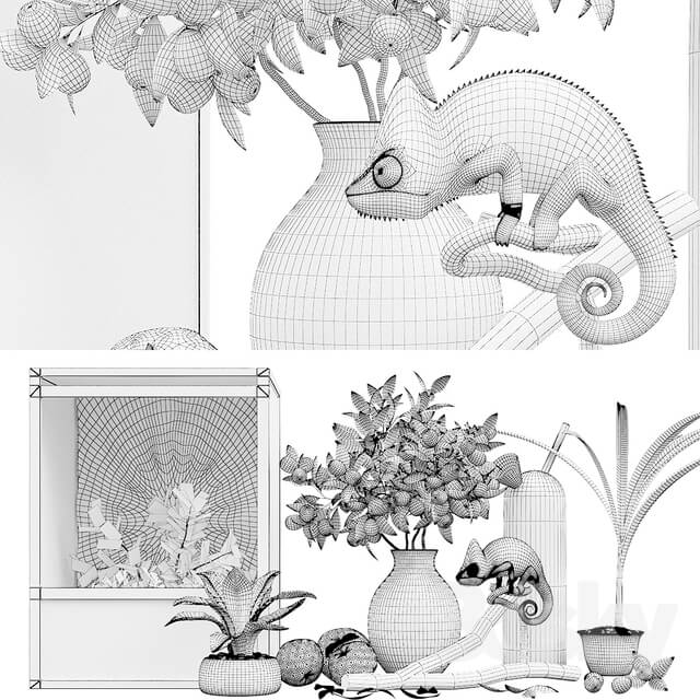 Decorative set - Decorative set_ chameleon