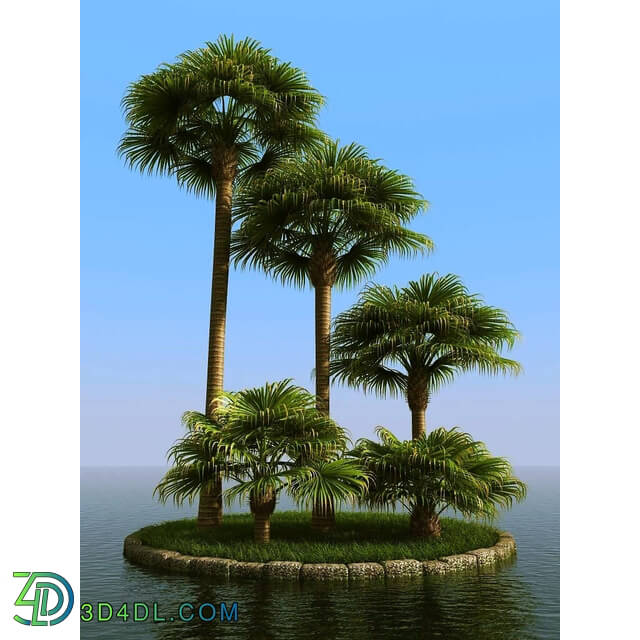 3dMentor HQPalms-03 (42) livistona palm