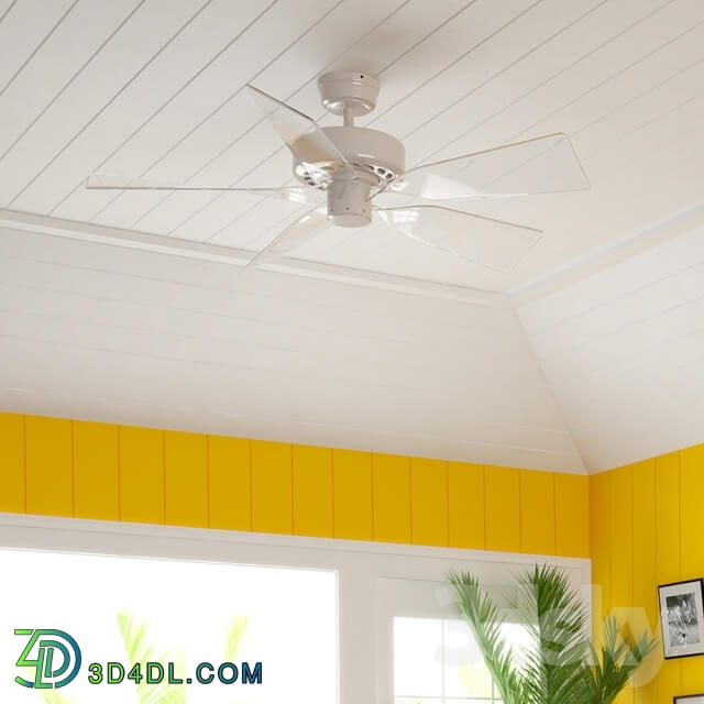 Household appliance - Ceiling fan