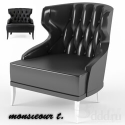 Arm chair - Monsieour T. design armchair 