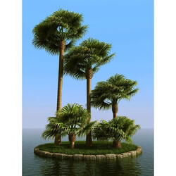 3dMentor HQPalms-03 (43) livistona palm wind 