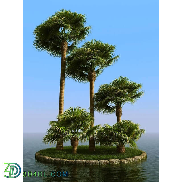 3dMentor HQPalms-03 (43) livistona palm wind