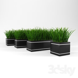 Plant - Decor Grass 